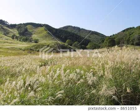 Akine Peak Plateau的Susuki 8651055