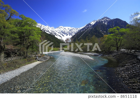 Kamikochi,新鮮的綠色 Kamikochi,新鮮的綠色 8651118