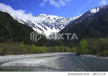 Kamikochi，新鮮的綠色 8651119