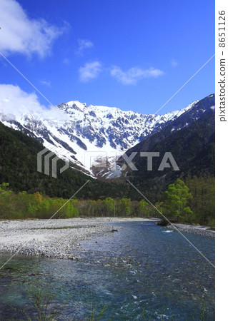 Kamikochi,新鮮的綠色 Kamikochi,新鮮的綠色 8651126