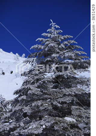 冬天冰的圖像 8651429