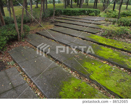 Kiyohara Central Park Kiyohara Central Park 8652085