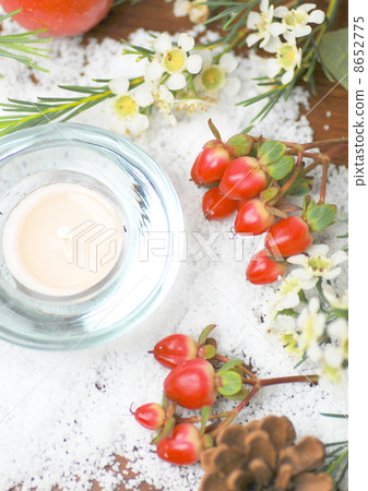 Wax Flower and Hiperam on Winter Snow 8652775