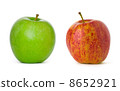 Apples 8652921