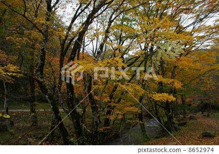 Early autumn Seseragi Highway 8652974