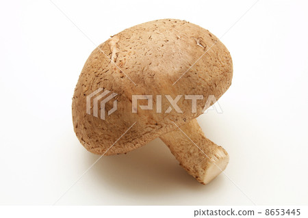 香菇 香菇 8653445