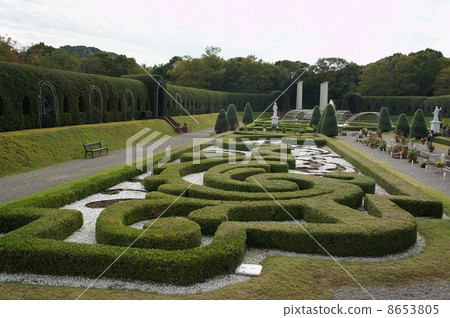 英式花園 英式花園 8653805