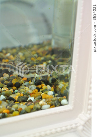 Yamato Shimada Dojo 8654021