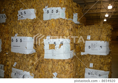 American cigarette factory 8654920