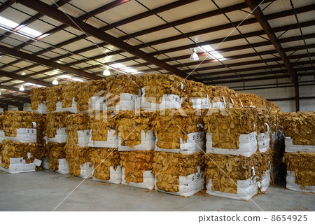 American cigarette factory American cigarette factory 8654925