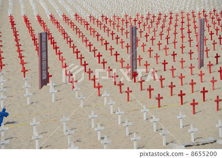 America Los Angeles Santa Monica Beach 8655200