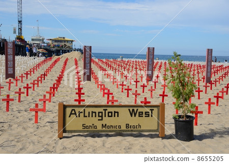 America Los Angeles Santa Monica Beach 8655205