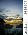 Umbrellas and sunsets 8656207