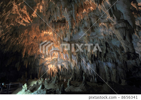 Tamaizumihora 8656341