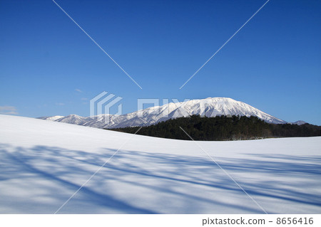 Koiwai農場 8656416