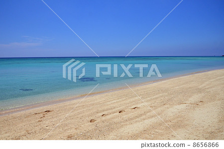 沖繩島島的GI海灘 沖繩島島的GI海灘 8656866