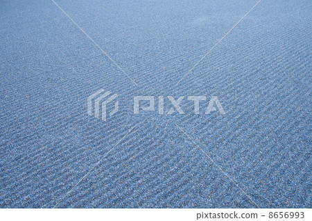 Garden in the precincts Garden in the precincts 8656993