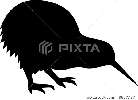 奇異果的剪影 8657787