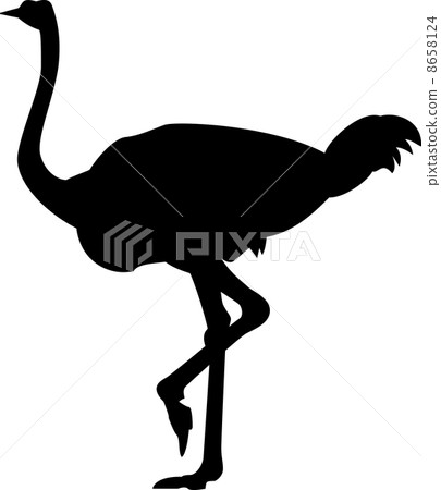 Ostrich silhouette Ostrich silhouette 8658124