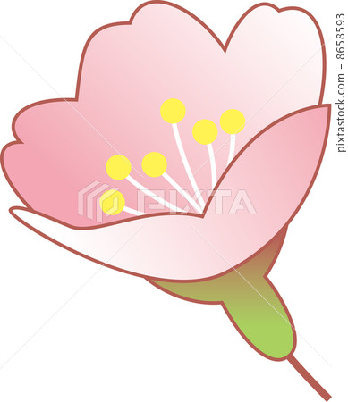 Cherry blossoms starting to bloom 8658593