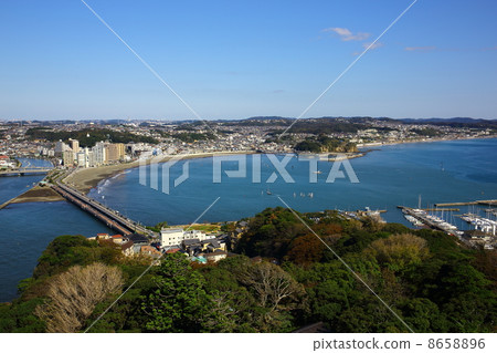 江之島 海 大海 8658896