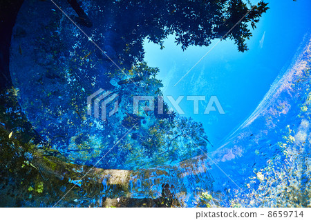 Kakita River Springs, Shizuoka Prefecture Kakita River Springs, Shizuoka Prefecture 8659714