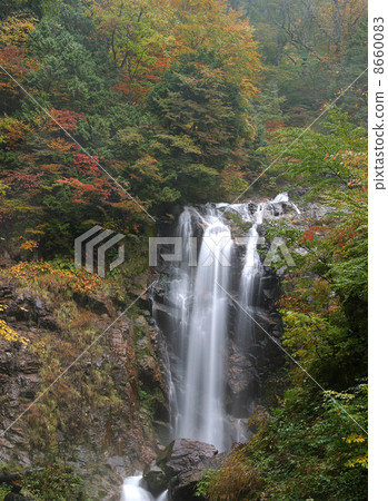 Natural Falls Natural Falls 8660083