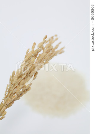 Inaho · Rice 8660805