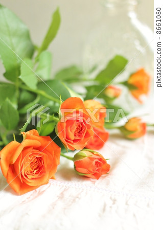 玫瑰和花瓶 8661080