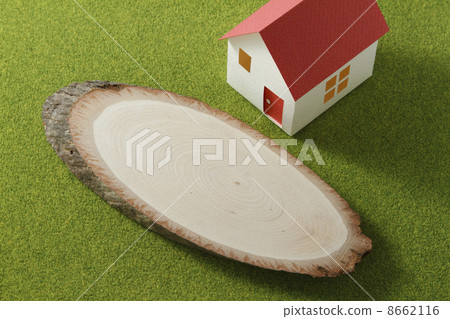 my home my home 8662116