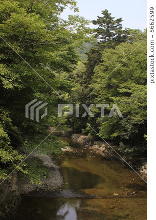 Mountain stream 8662599