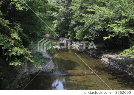 山間溪流 8662600