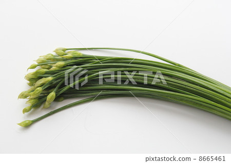 Flower chicken 8665461