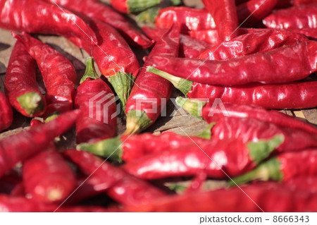 紅辣椒 紅辣椒 8666343