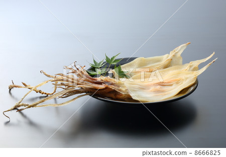 烏賊 烏賊 8666825