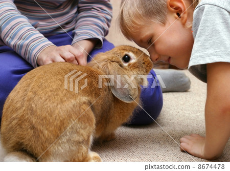 The boy with the rabbit The boy with the rabbit 8674478