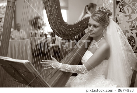 Beautiful bride 8674883