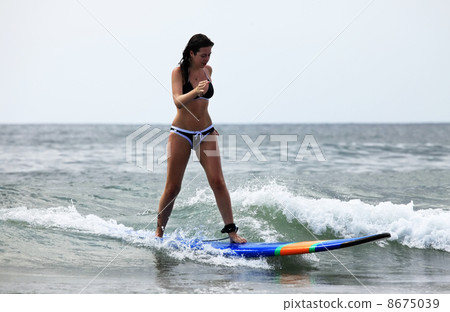 surfer - girl surfer - girl 8675039