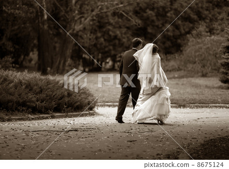 Newly-married couple Newly-married couple 8675124