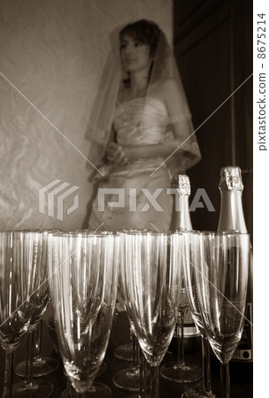 Beautiful bride Beautiful bride 8675214