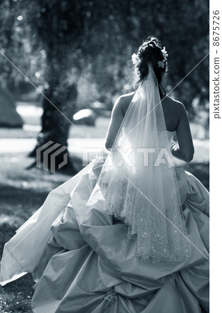Beautiful bride Beautiful bride 8675726