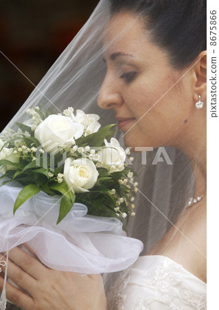 Beautiful bride Beautiful bride 8675866