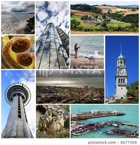 Auckland Auckland 8677308