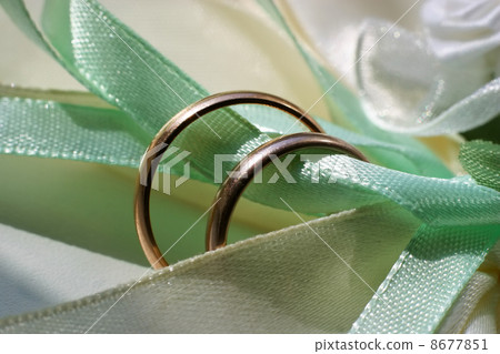 Wedding rings 8677851