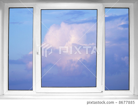Window 8677885