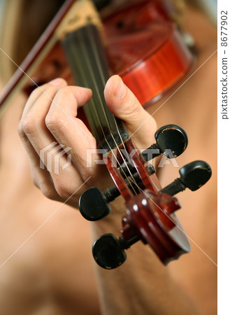 Violin 8677902