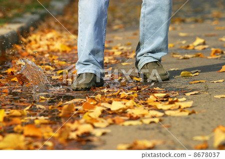 Autumn park 8678037