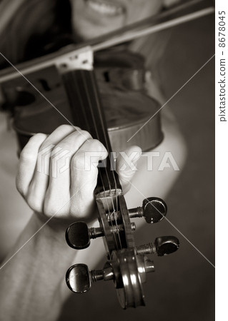 Violin 8678045
