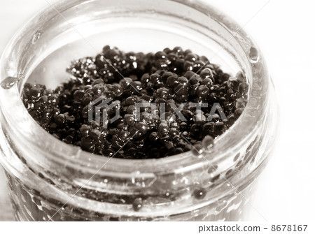 Black caviar 8678167