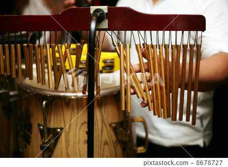 Percussion Percussion 8678727